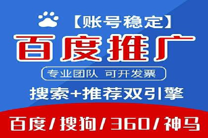 某行业领军企业的SEM广告投放策略